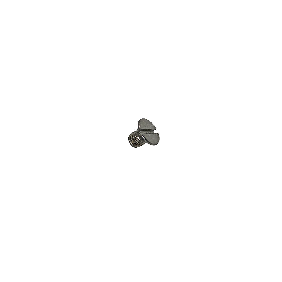 Pop-out vijs zijruitframe - Inox/RVS voor T1 — VintageDub