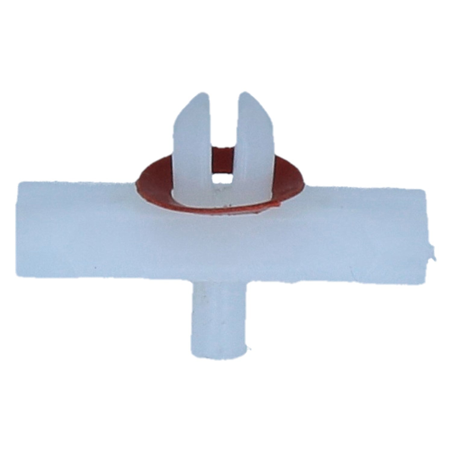 Clip voor smalle sierlijst detail — Kever