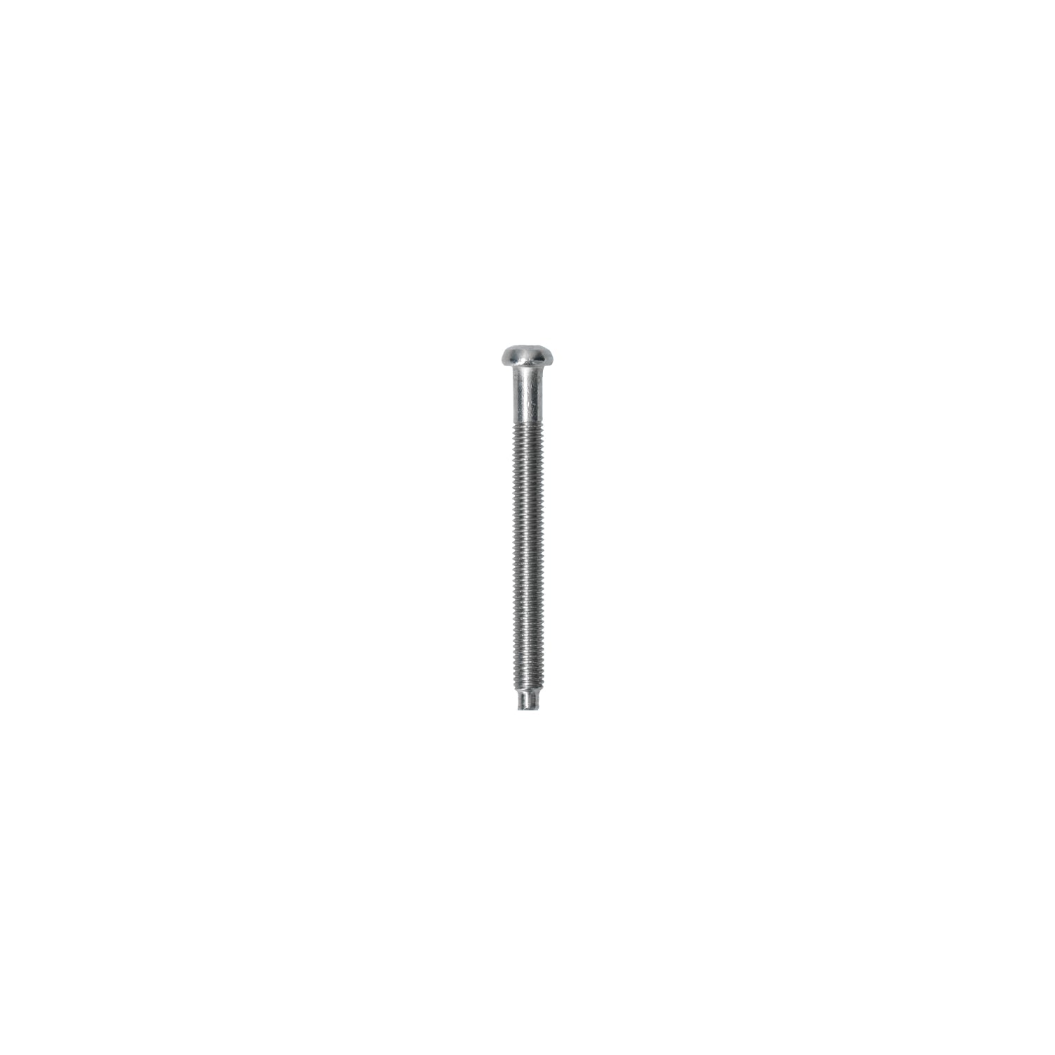 VW Kever, T2 Bus, Type 3, Type 181  | Schroef koplampring plastic ring | 08/67- | 113 941 183