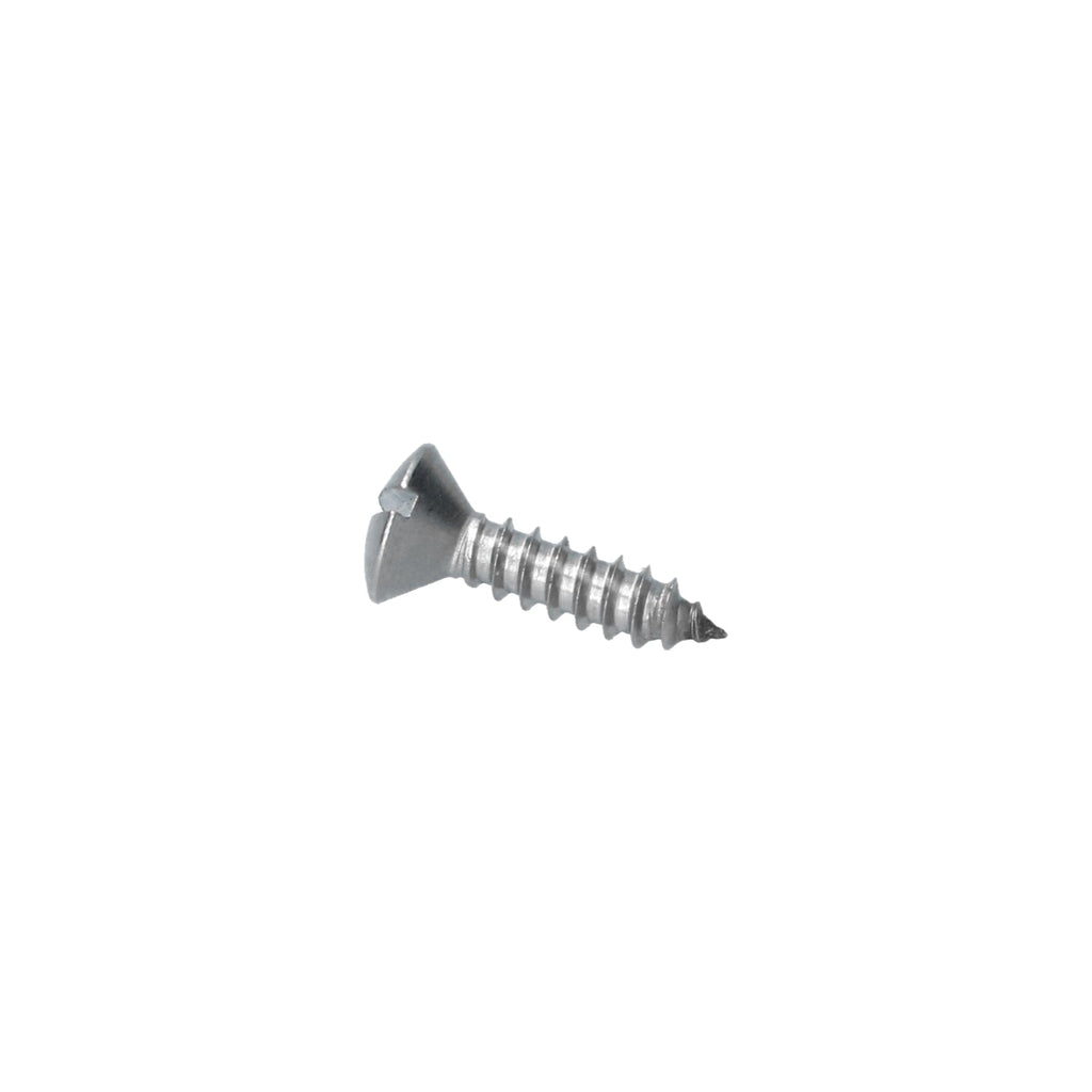 Parkervijs RVS bolconisch verzonken (Gleufkop) 4,8x19mm, DIN7973C detail — T1, T2, Kever, KG