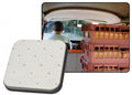VW T1 Bus, T2 Bus | TMI Hemel geperforeerd vinyl, cabine sectie, gebroken wit | Bus 08/63 - 07/79 (2 baleinen)