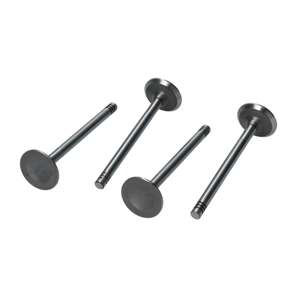 Inlaatkleppen 33mm, 8mm steel, 1300cc enkele inlaat voor T1, Kever, KG — VintageDub